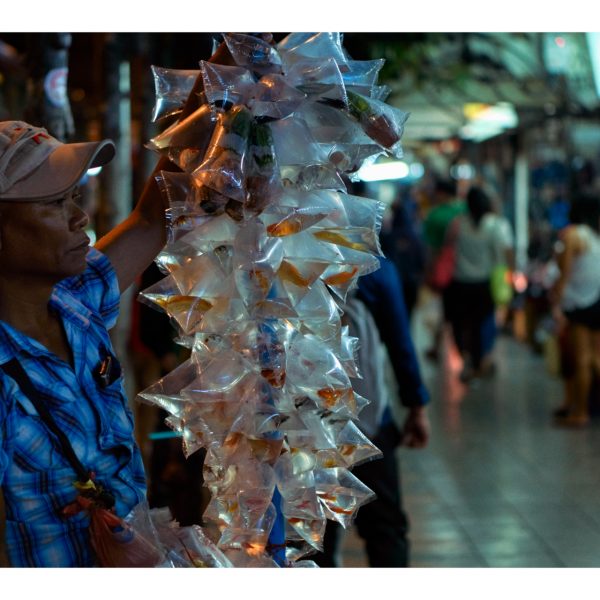 Bangkokians