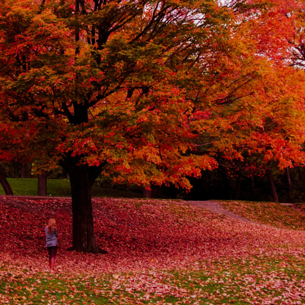 Mount Royal Park, Montreal, Canada